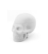 NoGoo - Contenitore in silicone a forma di teschio