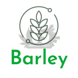 Living Soils Fertilizer - Barley - Malted barley powder