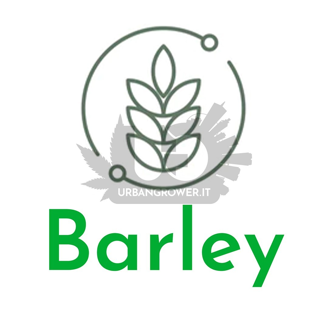 Living Soils Fertilizer - Barley - ‎Polvere di orzo maltato‎ per substrato