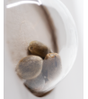 White Label - White Diesel Haze - Semi autofiorenti femminizzati