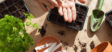 Accessori Growbox