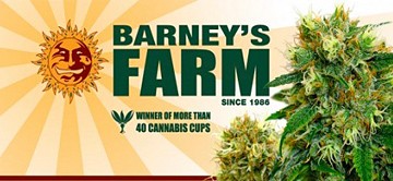 Barney's Farm