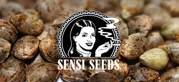 Sensi Seeds