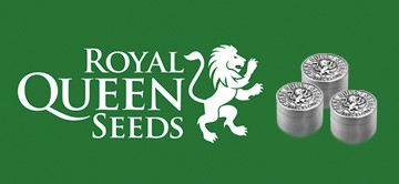 Royal Queen Seeds