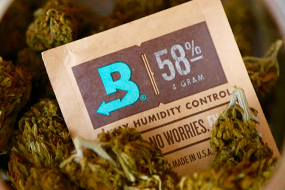 Boveda - 58%