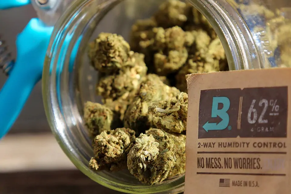 Boveda - 62%