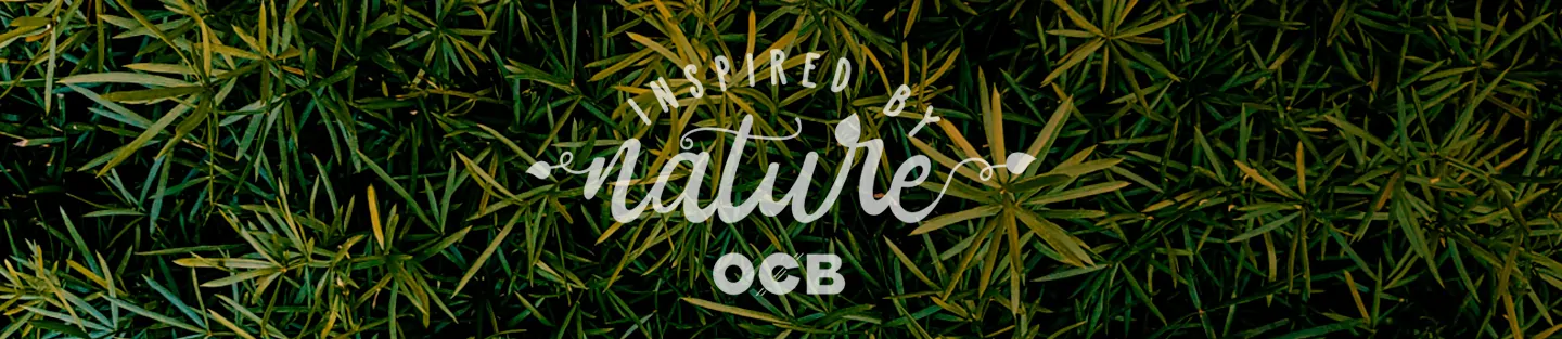 OCB