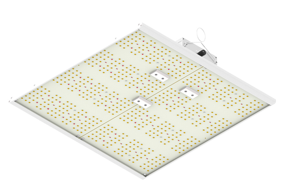 Ortoled - Quantum Board - 240 - Lampada LED