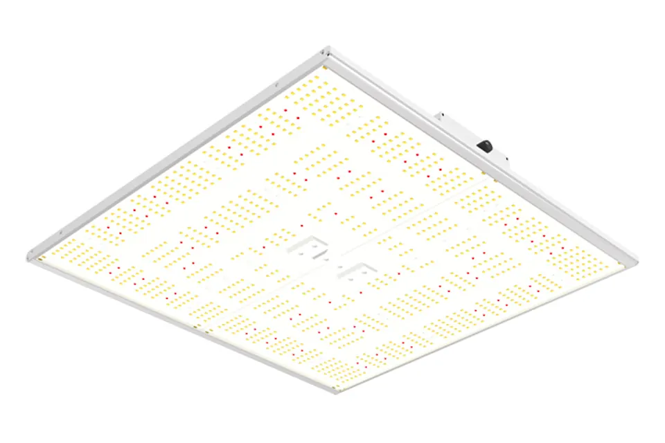 Ortoled - Quantum Board - 320 - Lampada LED